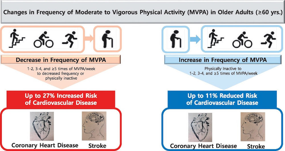 physical activity and cardiovascular diseases