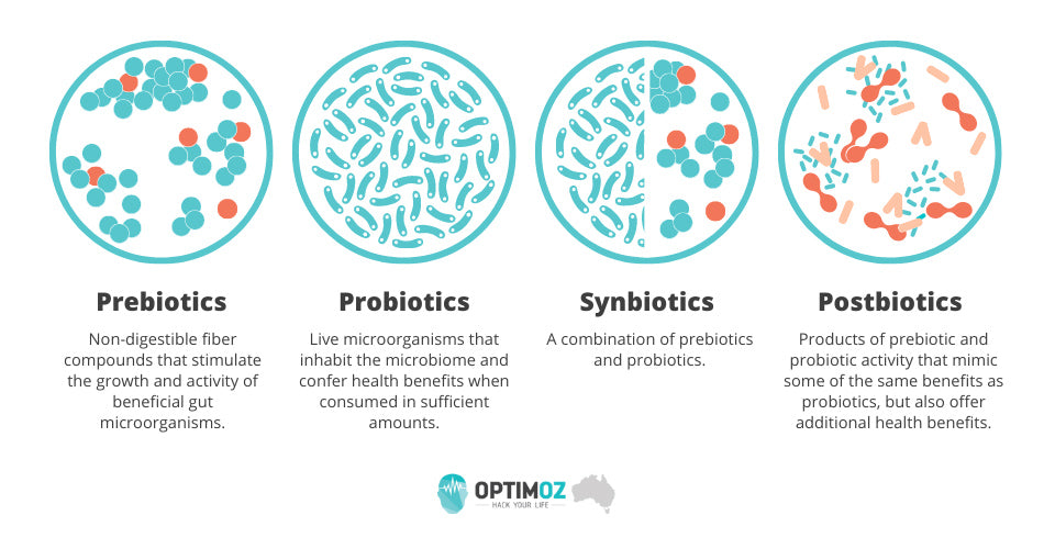 Prebiotics, Probiotics, Synbiotics and Postbiotics in Australia