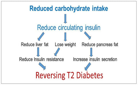 reduced carb intake on reversing type 2 diabetes