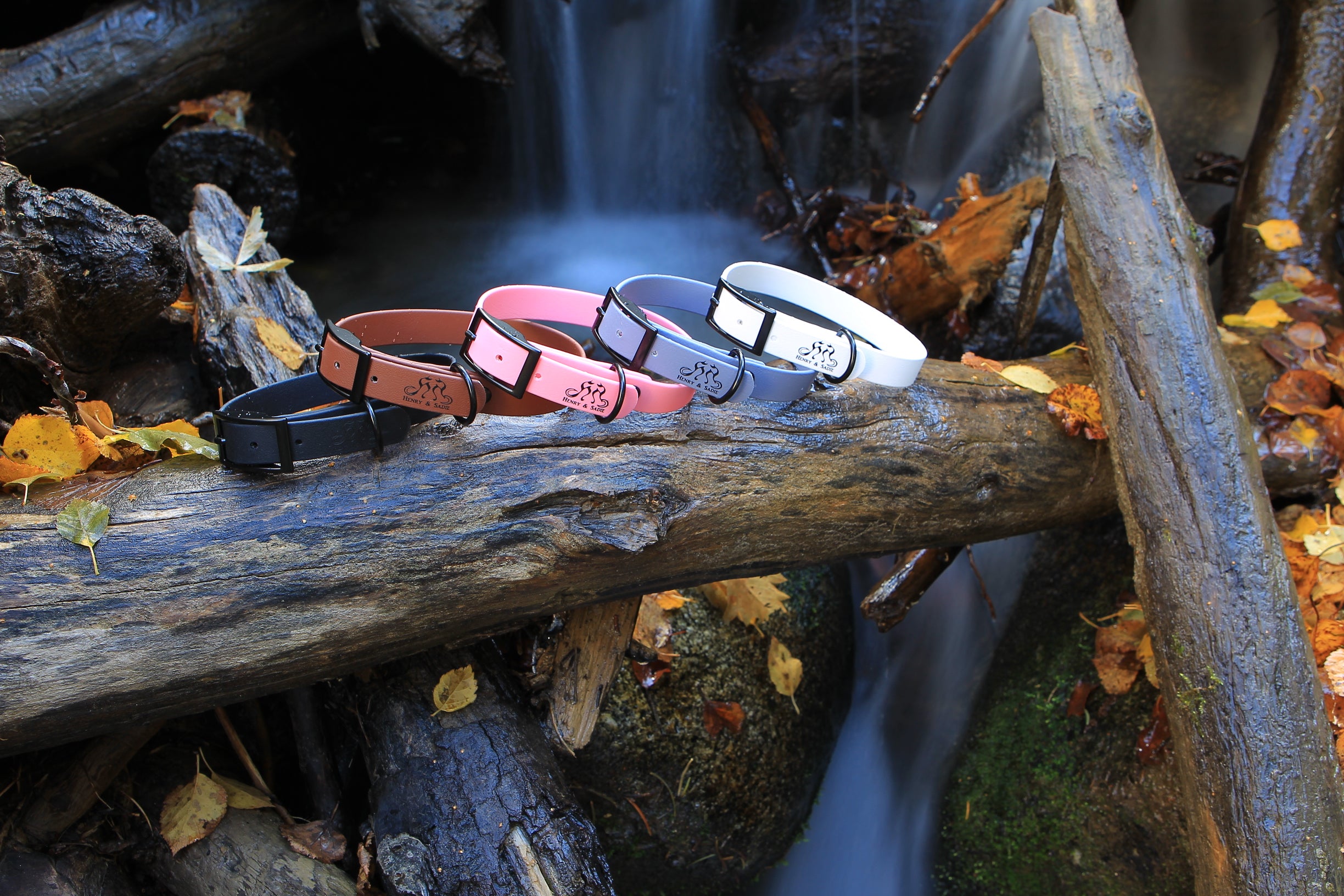 5 different colored collars sitting on a log with a waterfall in the background
