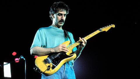 Watermelon in Easter Hay – Frank Zappa