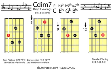 Mastering Basic Guitar Chords: Learn Essential Guitar Chords