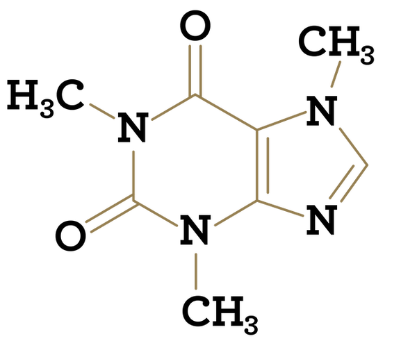 Molecular Structure of Caffeine