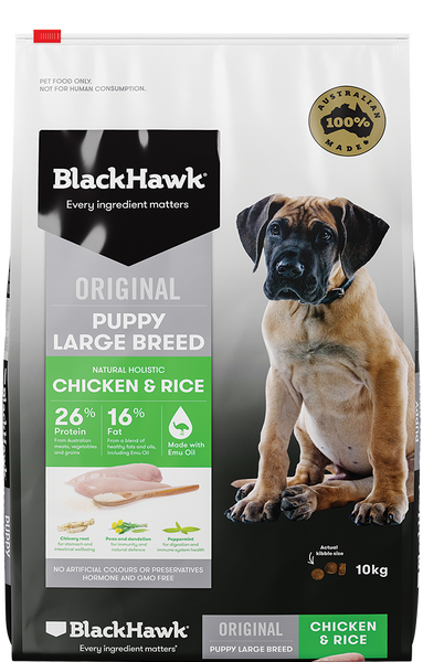 blackhawk puppy large breed