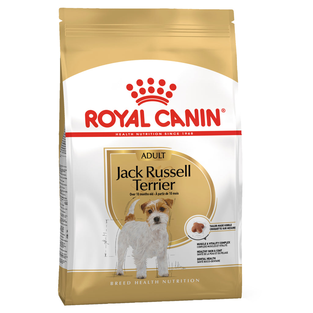 royal canin jack russell terrier