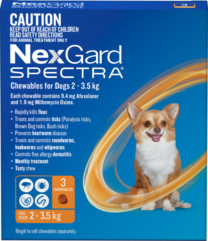 nexgard spectra large dog 6 pack