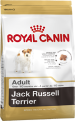 royal canin jack russell terrier