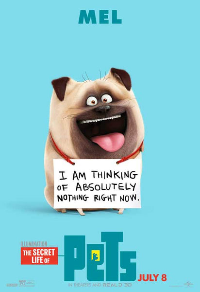 the secret life of pets movie poster jpg