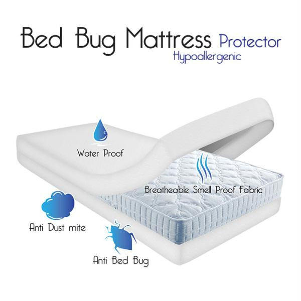 anti bed bug mattress cover