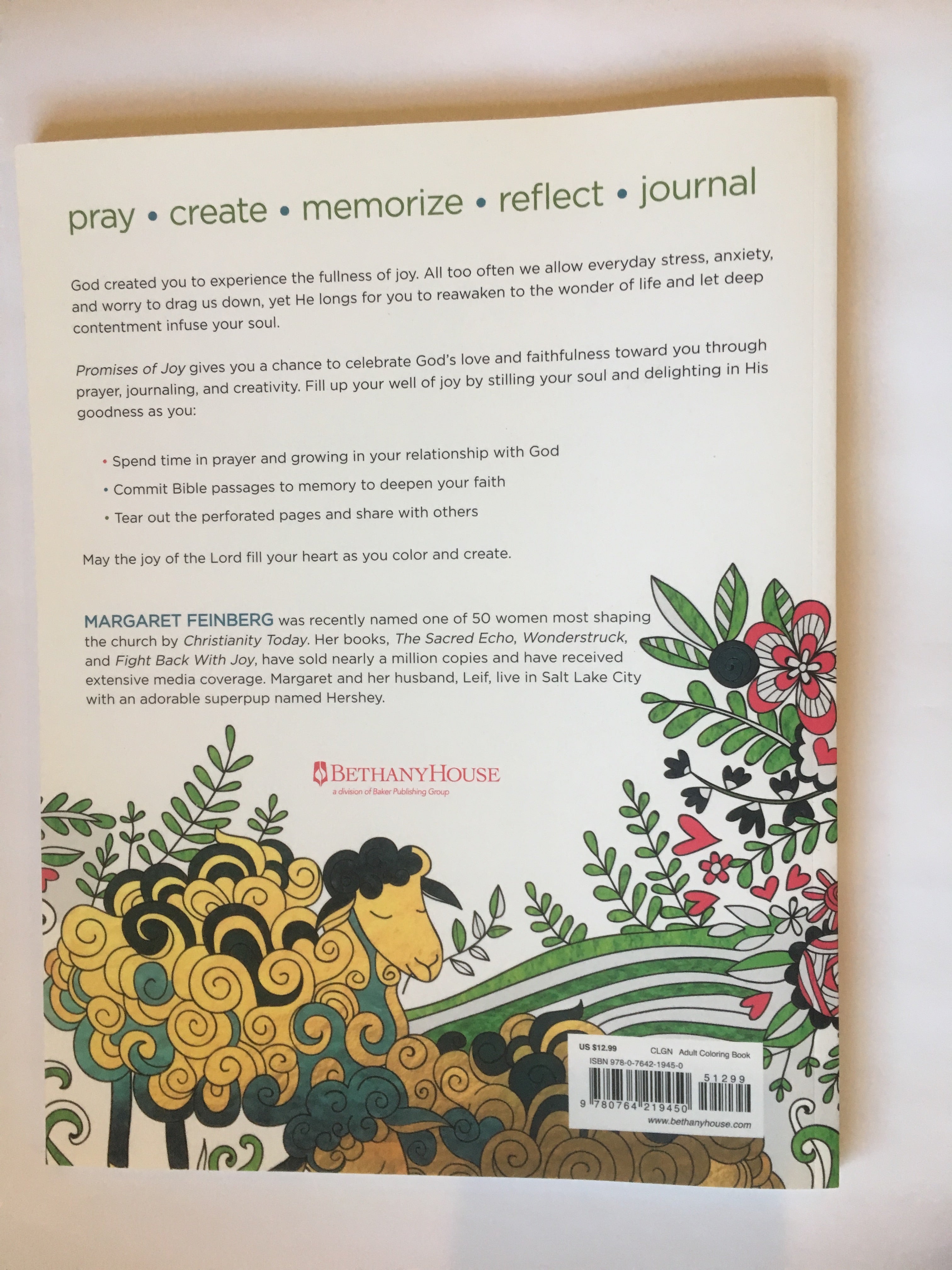 Promises Of Joy An Adult Coloring Book Margaretfeinbergstore Com