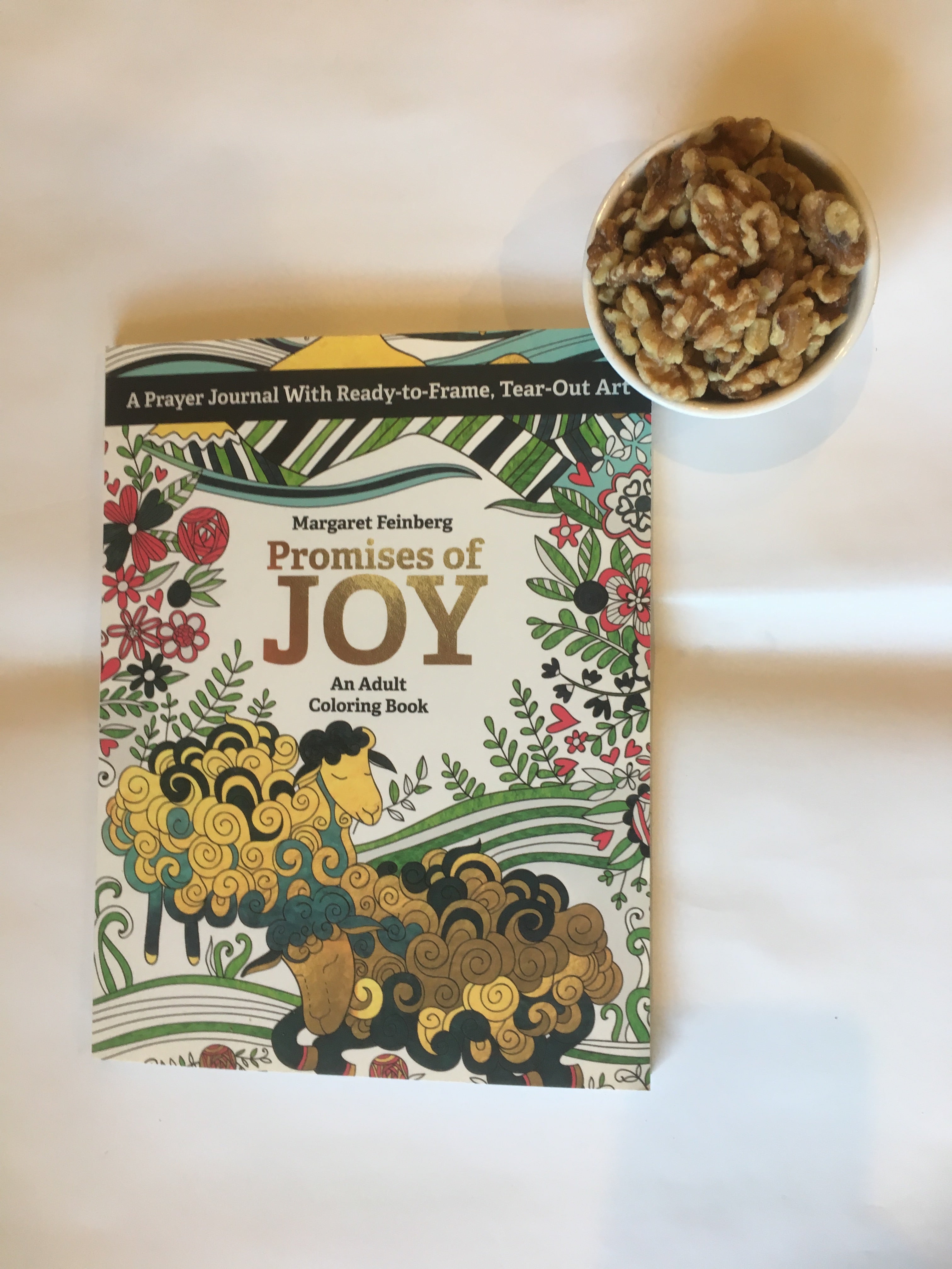 Promises Of Joy An Adult Coloring Book Margaretfeinbergstore Com