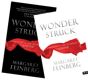 wonderstruck book online