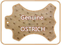 Genuine Ostrich Skin Leather Watch Strap