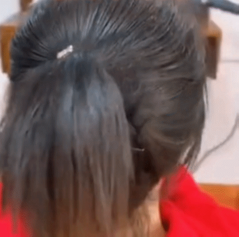 ponytail wig
