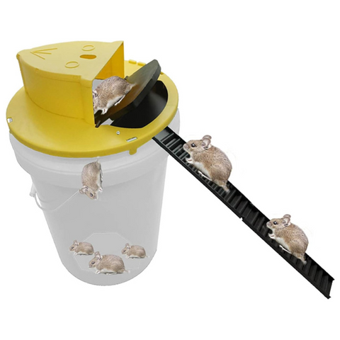 best reusable mouse trap