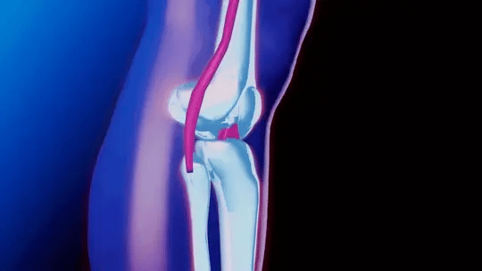 Untitled Video 540x 1 540x 4b6c87c4 4e0c 4fae af44 3aee31fba45b
