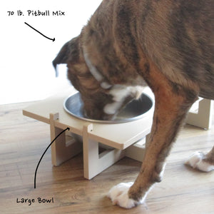 dog bowl cost