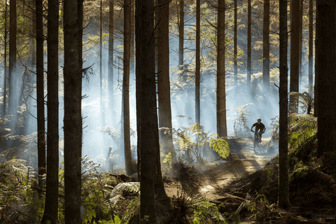 cycling in the jungle