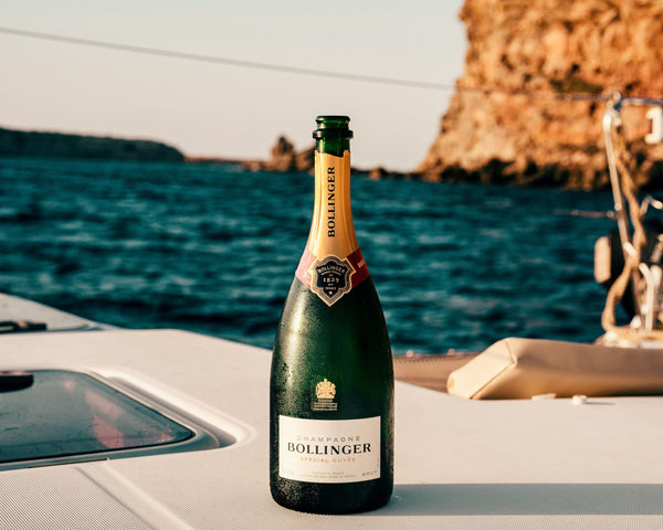 Savour the Sea Breeze: Unforgettable Mediterranean Coastal Wine Excursions