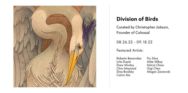 Division of Birds - Curated by Christopher Jobson, Founder of Colossal