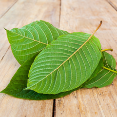 benefits of kratom