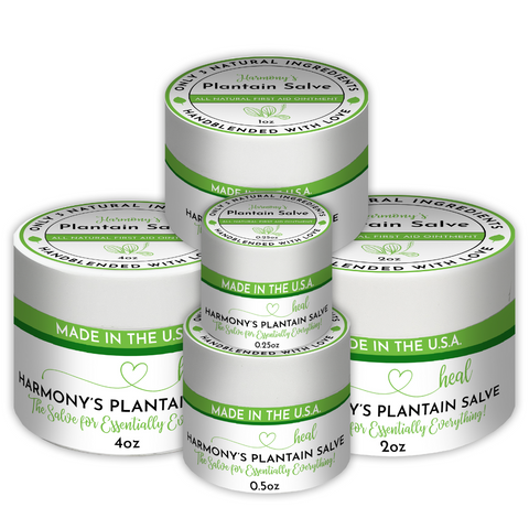 what is the best plantain salve