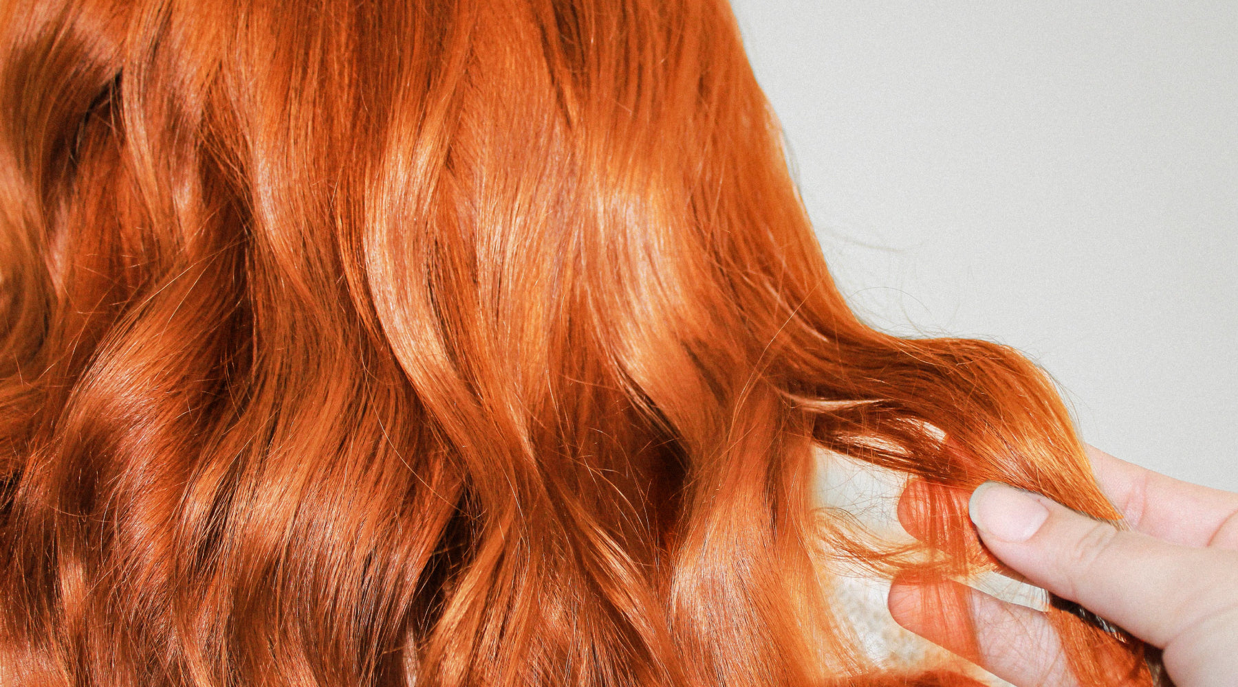 How To Dye Your Hair Burgundy Without Bleach  Bomb Dot Com Hair