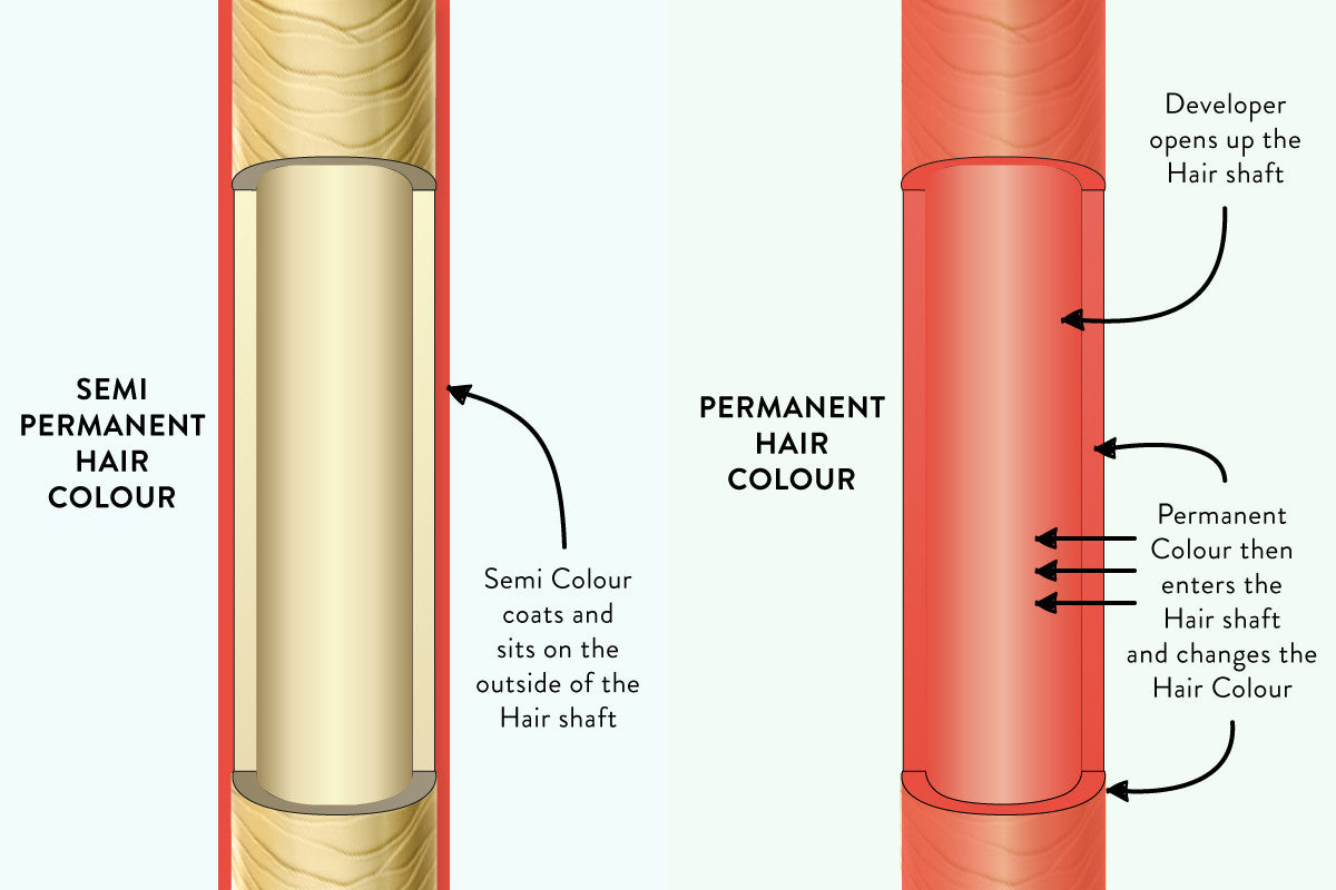 What's the Difference Between Permanent, Semi-Permanent and Demi-Permanent  Hair Colors? — Inscape Beauty Salon