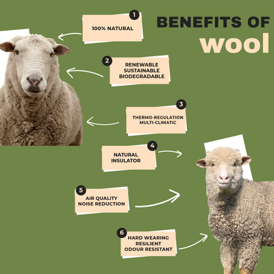 Campaign for Wool - Benefits of Wool