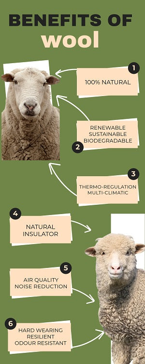 Campaign for Wool - Why Wool?