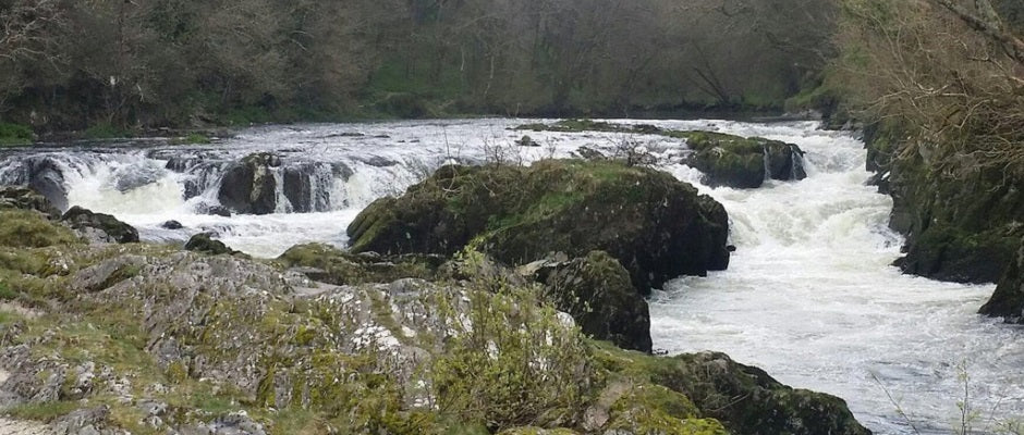 Cenarth Falls on the river Teifi