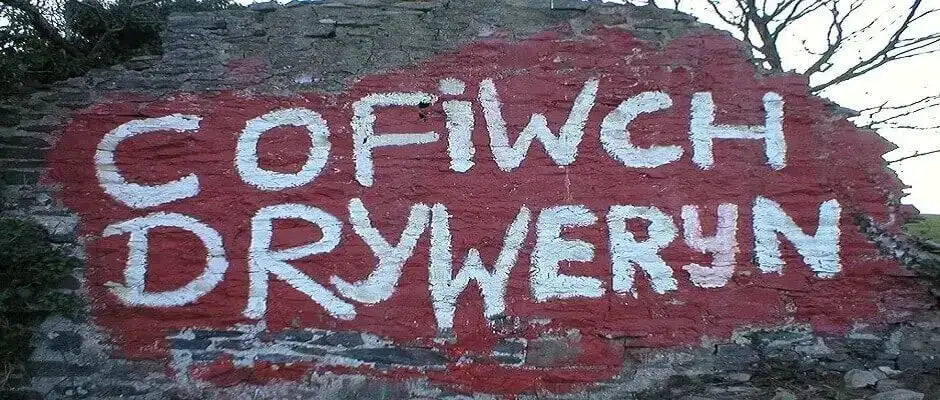 Cofiwch Dryweryn - Remember Tryweryn