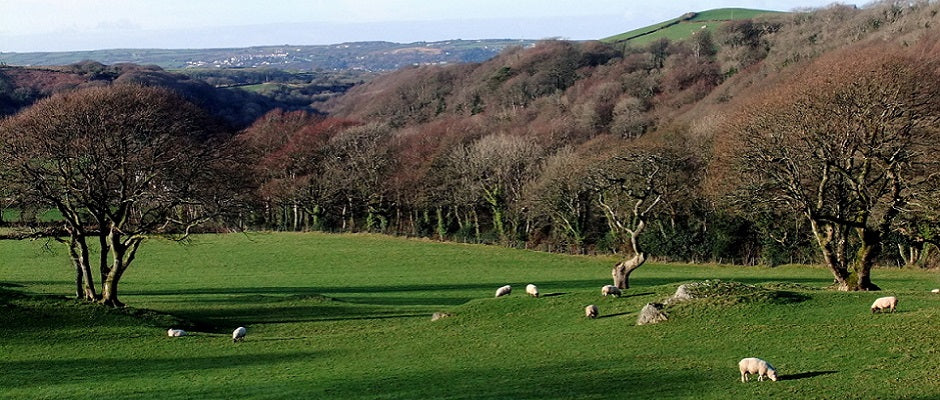 Calennig - Cwm Gwaun - Hen Galan - New Years Day 13th January - Pembrokeshire