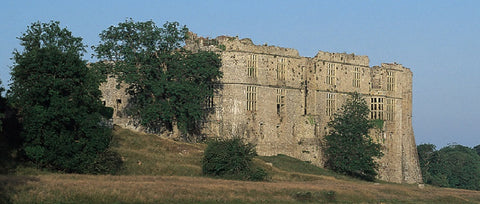 Pembrokeshire Castles - Carew Castle