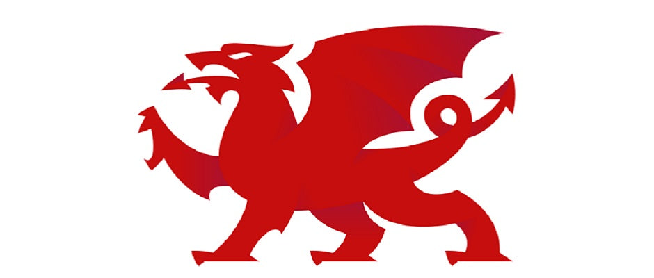 Welsh Dragon - Y Ddraig Goch - Appreciate a Dragon