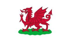 Welsh flag, Wales Flag - 1807 to 1953