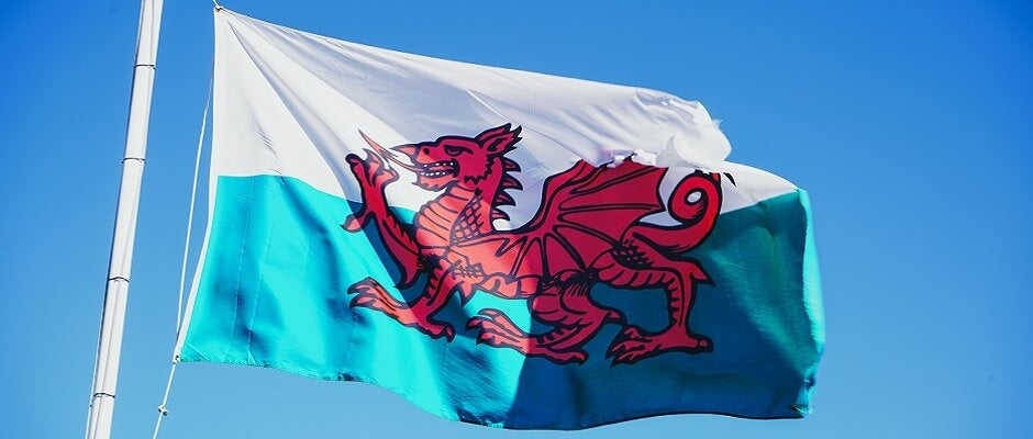 Welsh for Dragon - Draig