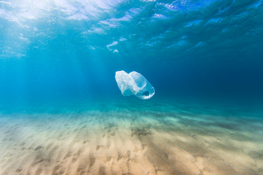 plastic bag in ocean