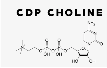 CDP choline