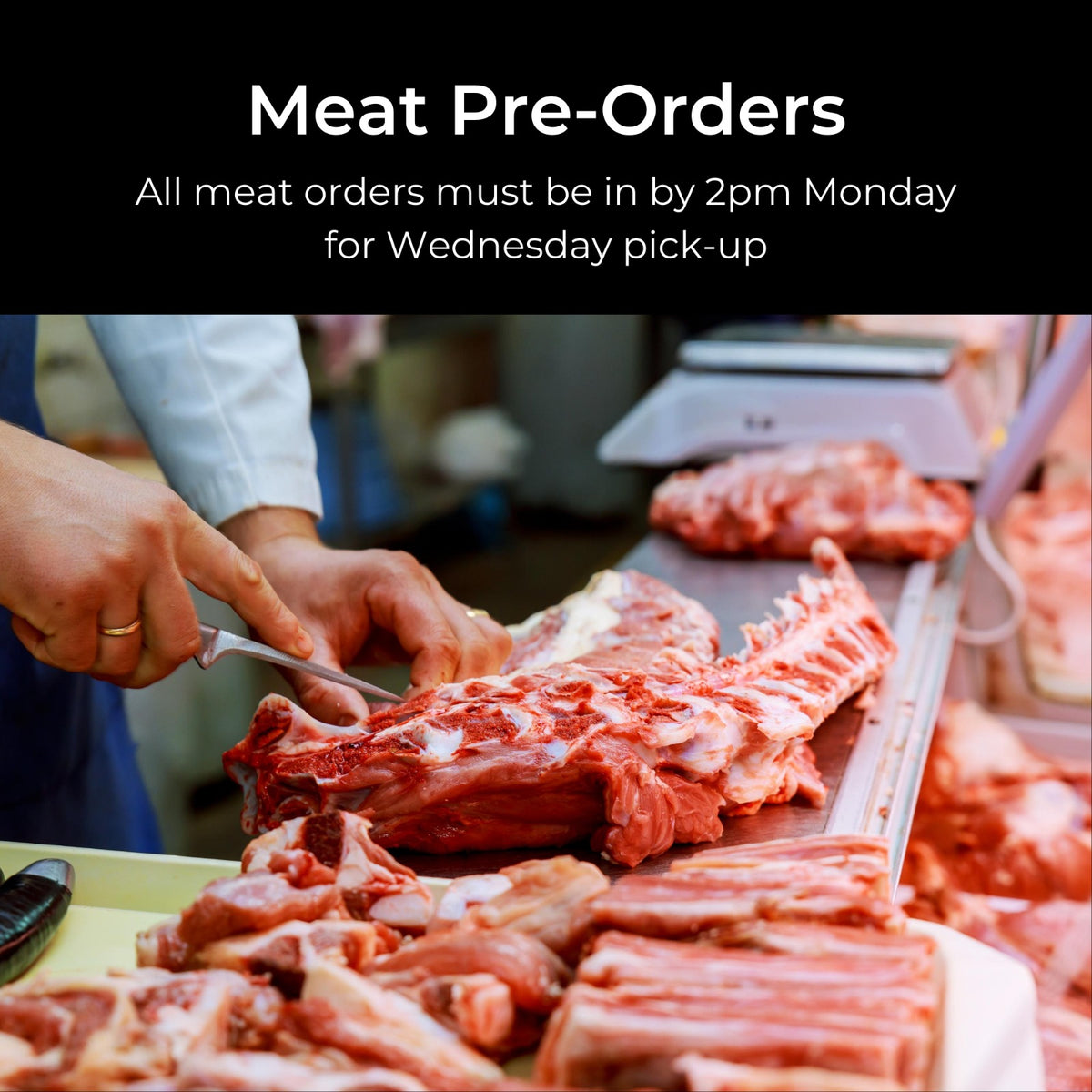 Fresh Meat PreOrders Order Cutoff Monday 2pm ET Campus&Co. Detroit