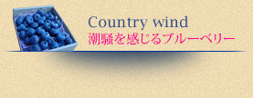 潮騒を感じるブルーベリー　カントリーウィンド