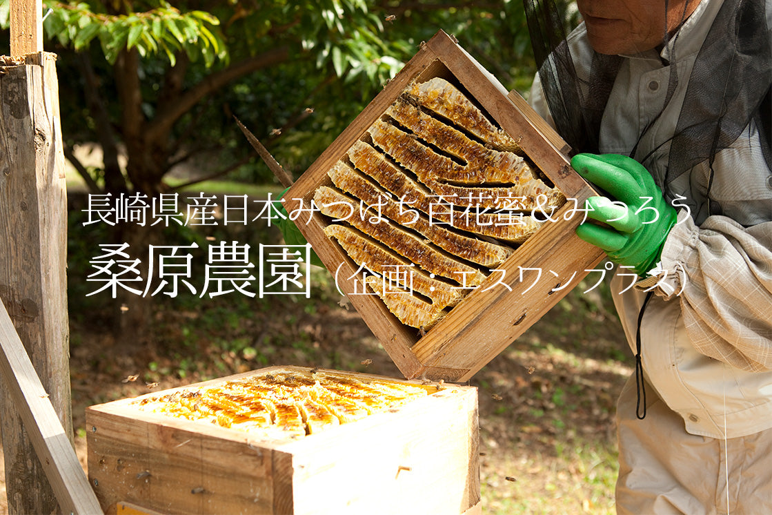 長崎県産日本みつばち百花蜜＆みつろう桑原農園（企画：エスワンプラス）