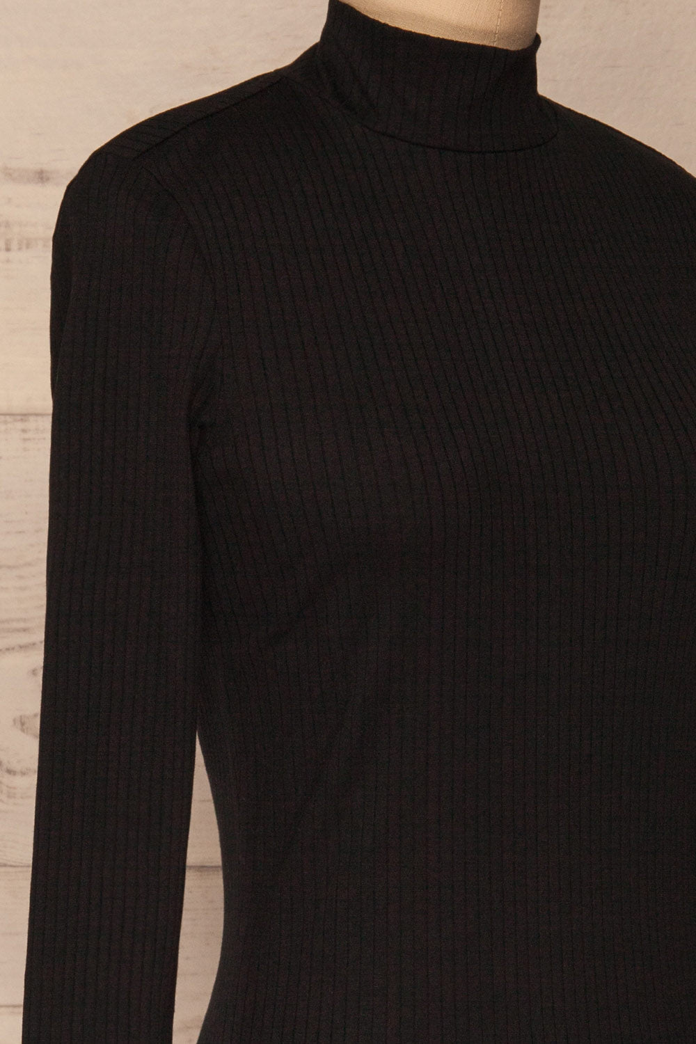 Solesmes Black Mock Neck Dress | La Petite Garçonne