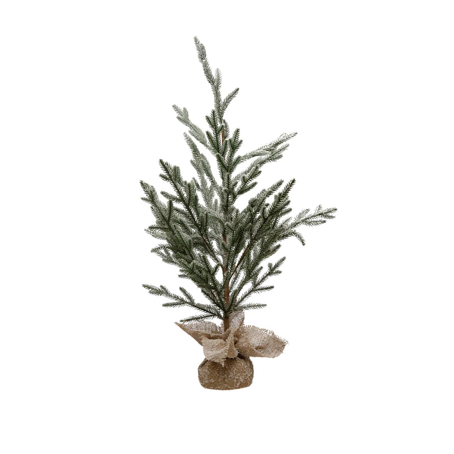 Pine Tree in Burlap Base