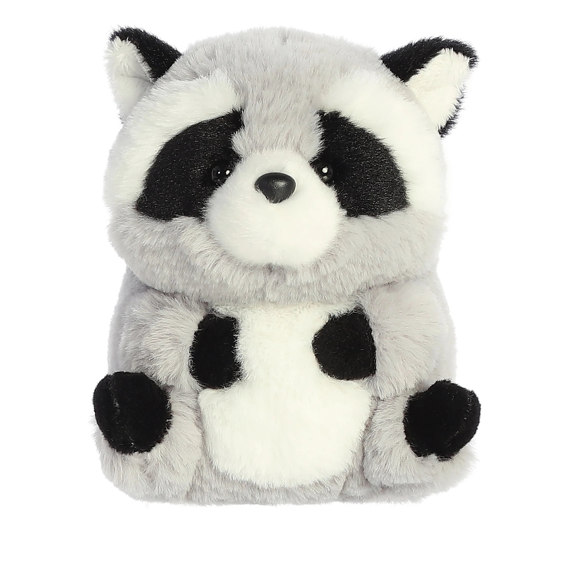 Aurora rolly pet ripley raccoon