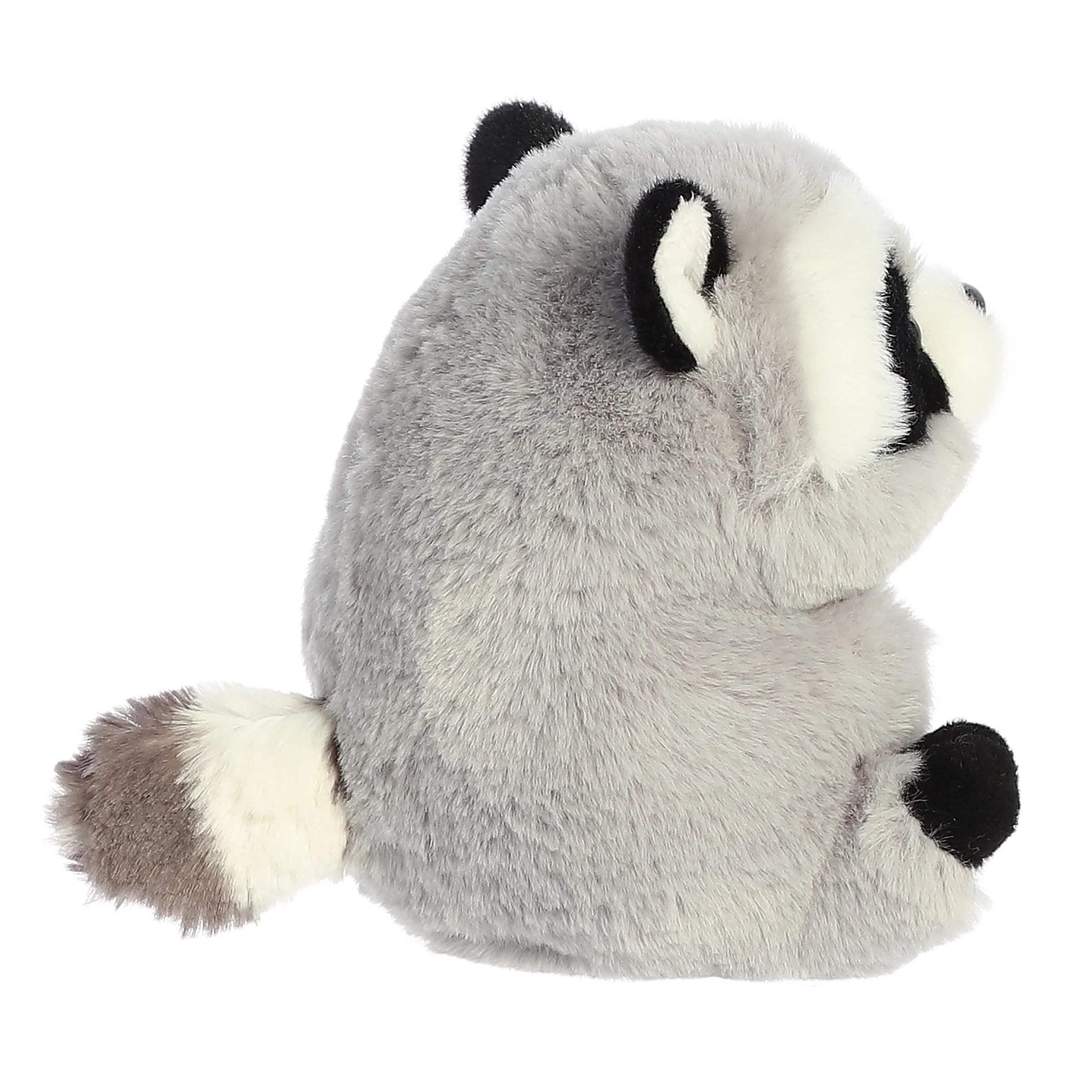 Aurora rolly pet ripley raccoon