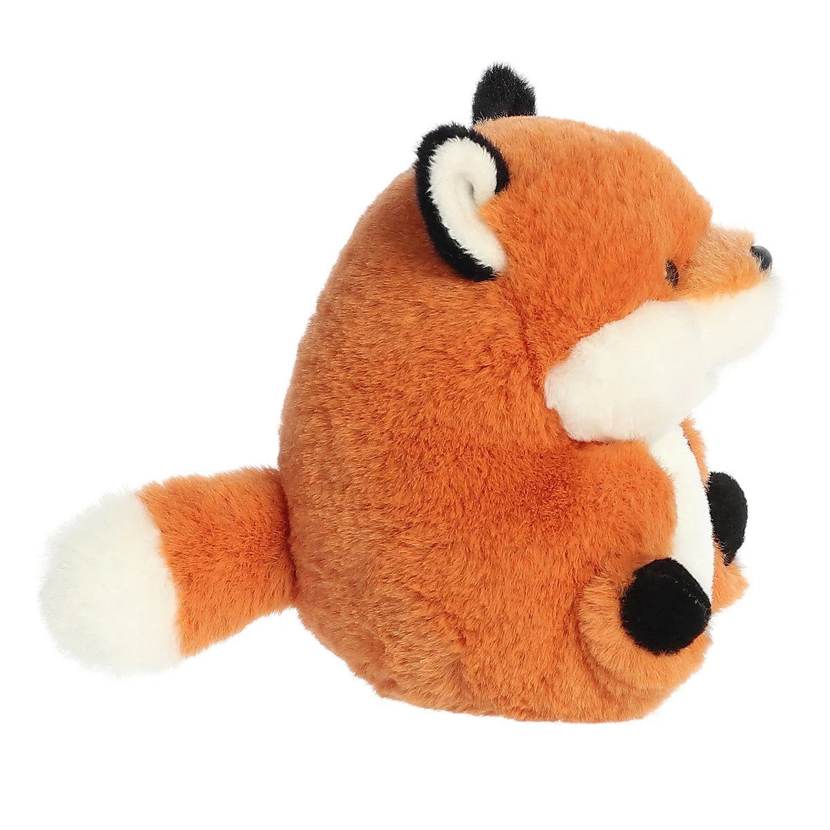 Aurora rolly pet finley fox