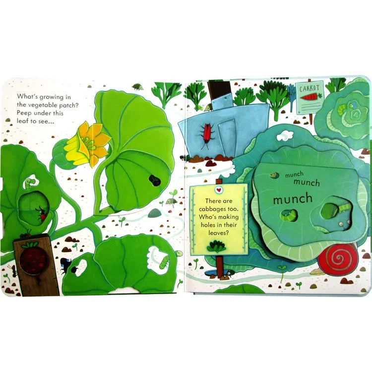 Usborne peep inside the garden