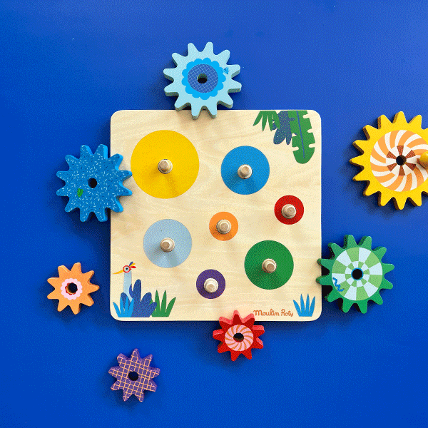 set of gears les toupitis