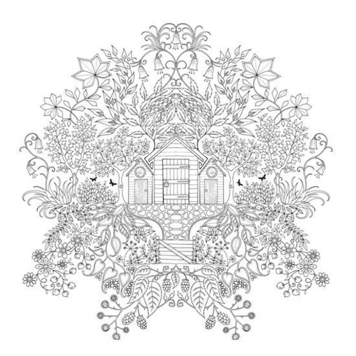 coloring pages of the secret garden